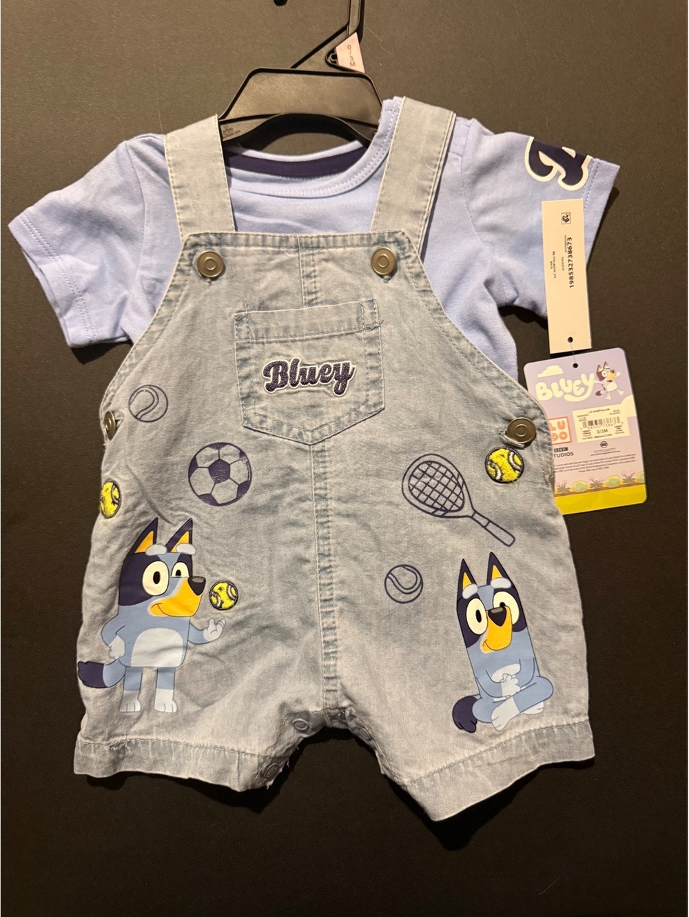 Bluey set